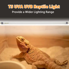 Celiwace Bearded Dragon UVB bulb 22in brightens daytime activity
