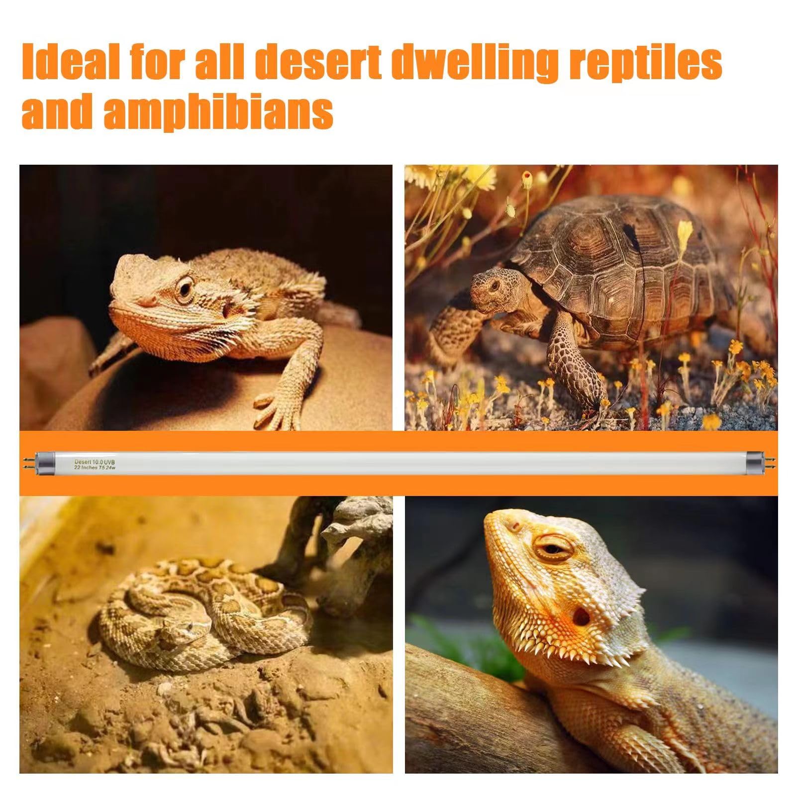 Celiwace lizard UVB bulb 22in enables natural basking behavior