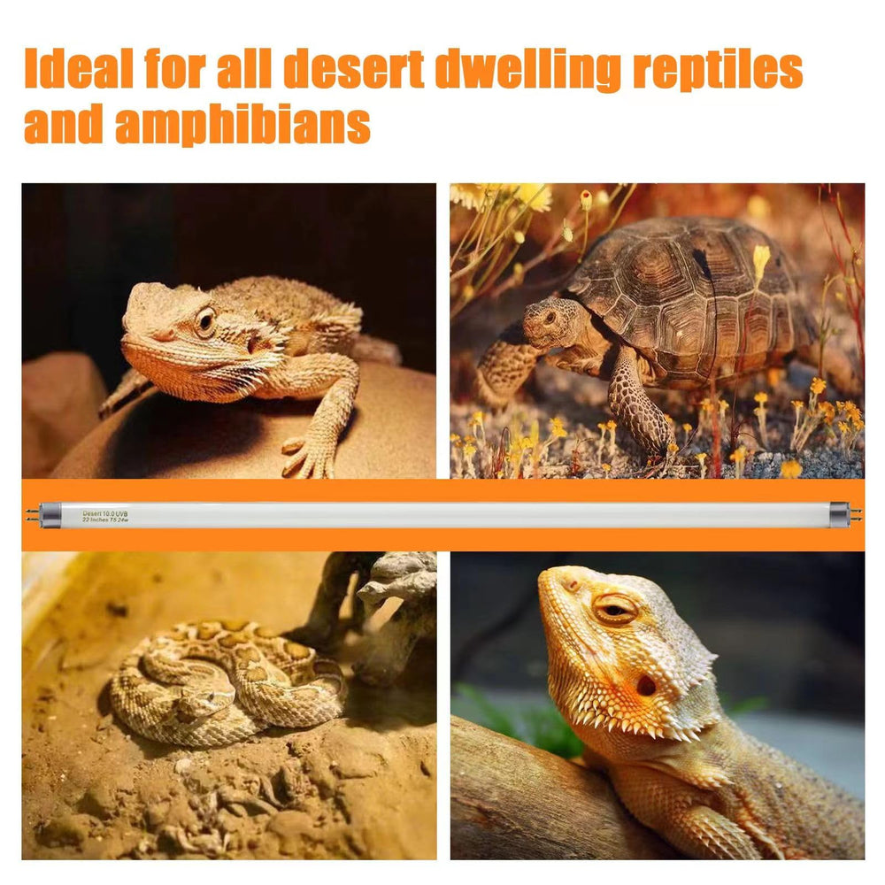 Celiwace lizard UVB bulb 22in enables natural basking behavior
