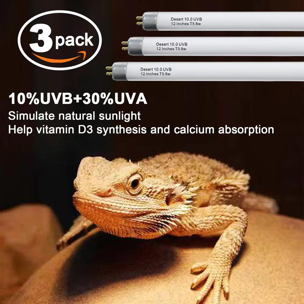 Celiwace T5 UVB bulb warms bearded dragon basking spot.