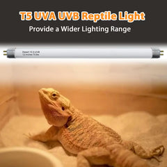 Celiwace T5 UVB bulb in terrarium supporting calcium metabolism and bone health.