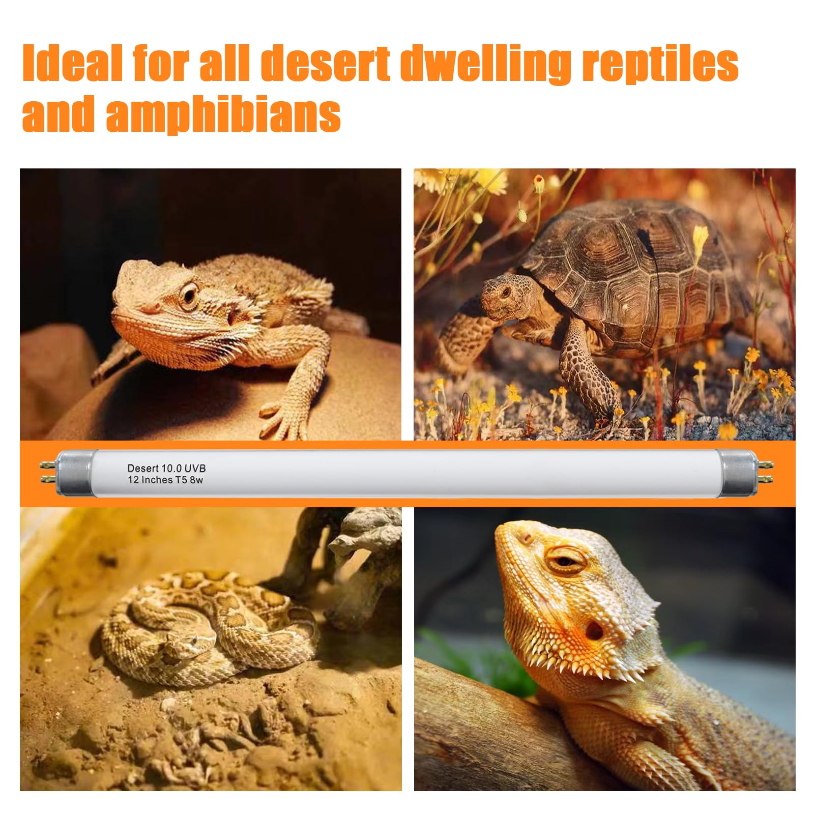 Celiwace T5 UVB triple-pack setup for multi-enclosure reptile habitats.