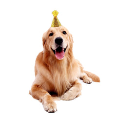 Cellcacn lightweight and soft hat keeps pets comfortable during celebrations.