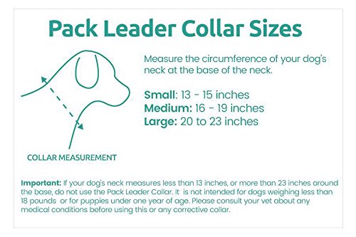 Cesar Millan Pack Leader Collar breathable neoprene and air mesh for comfort.