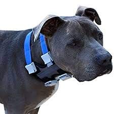 Cesar Millan Pack Leader Collar reflective trim enhances safety in low light.
