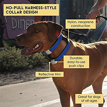 Cesar Millan Pack Leader Collar size guide shows fit for large dogs over 75 lbs.