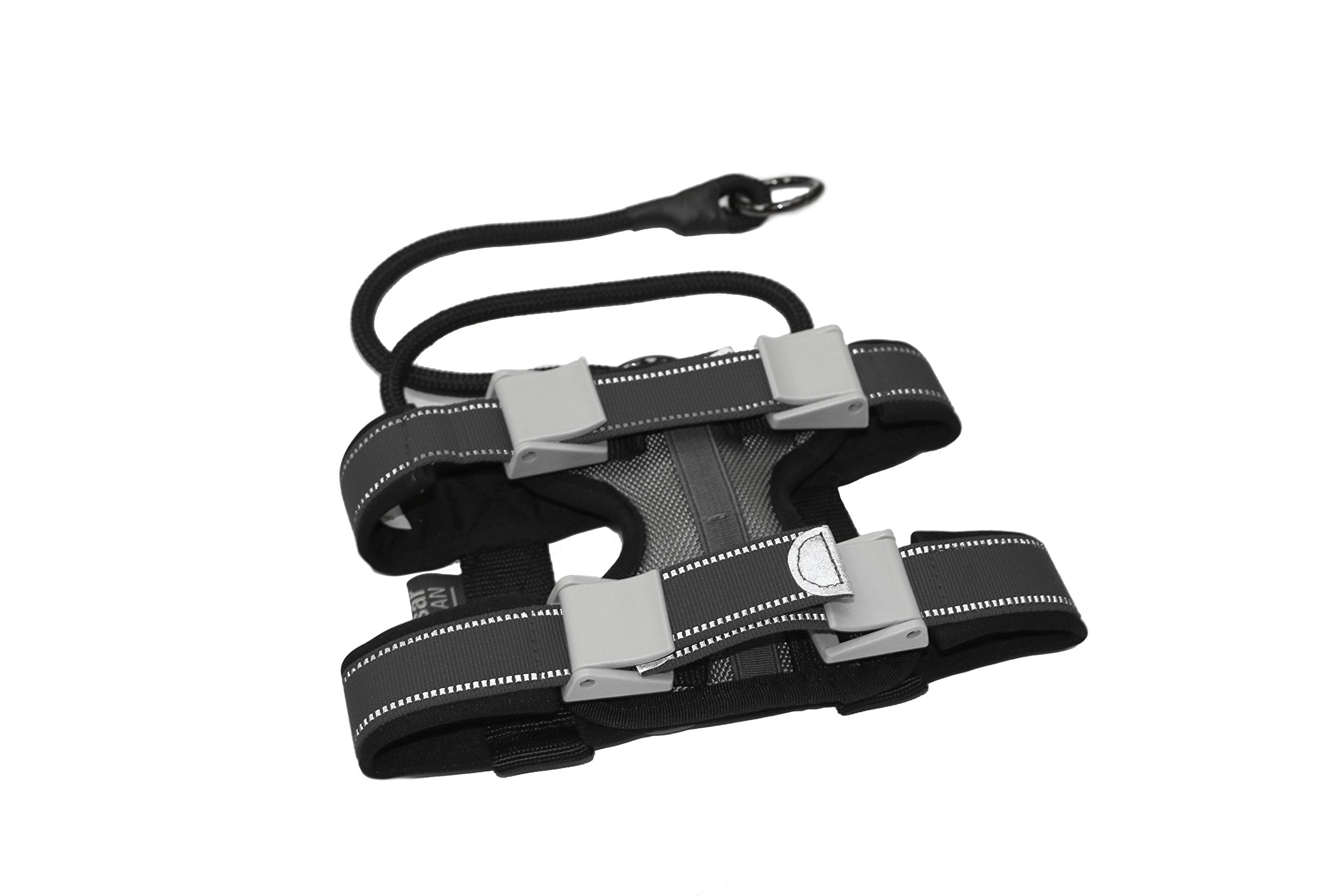 Cesar Millan Pack Leader Collar top view for secure control on daily walks.
