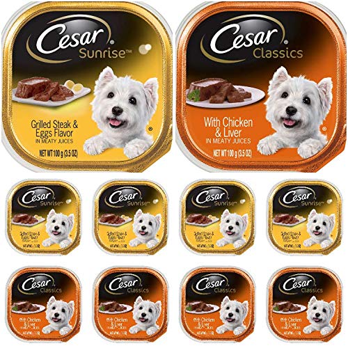 Cesar 10-pack wet dog food trays for easy mealtime and flavorful variety