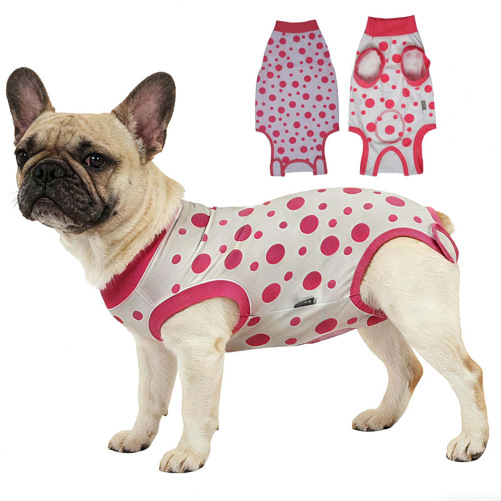 Ceseonce dog surgery recovery suit on a dog protecting wounds during post-op healing.