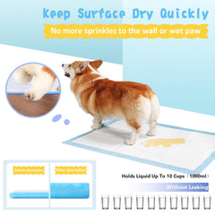 CESOO XL pad absorbency graphic demonstrates high capacity for urine.
