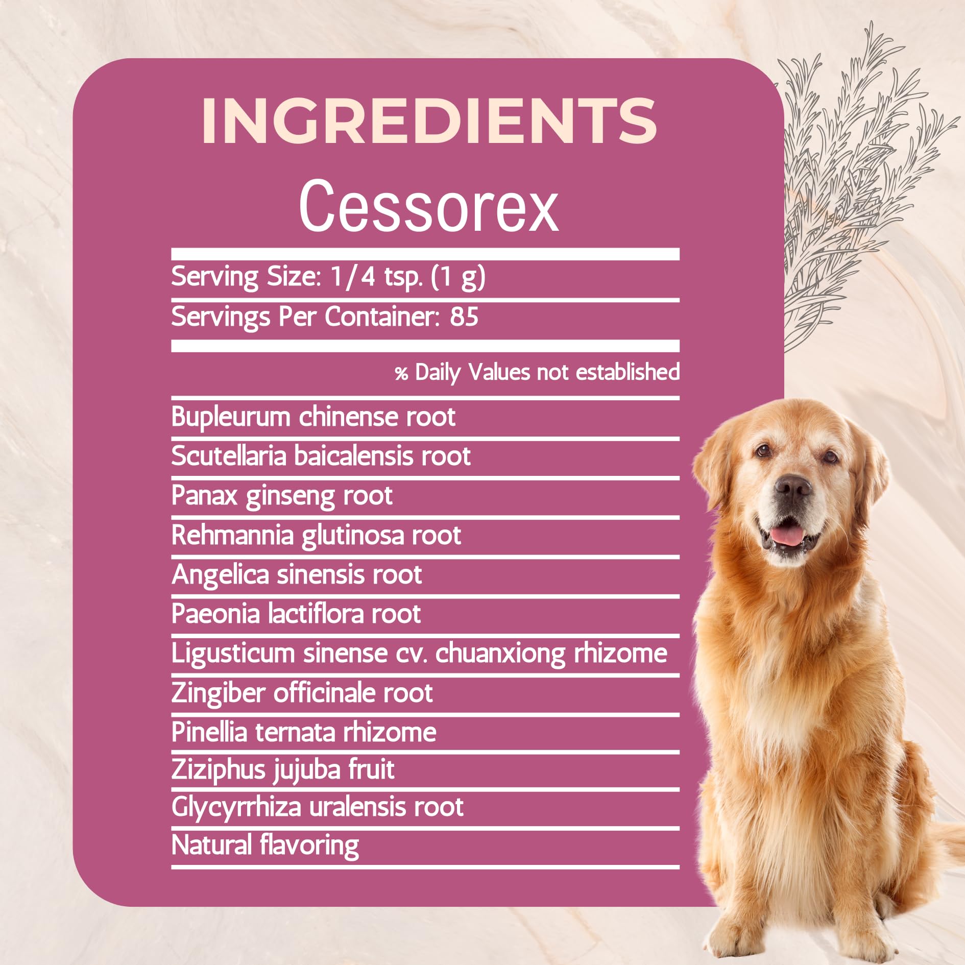 Gold Standard Herbs Cessorex dosing scoop with powder for measured daily dosing.