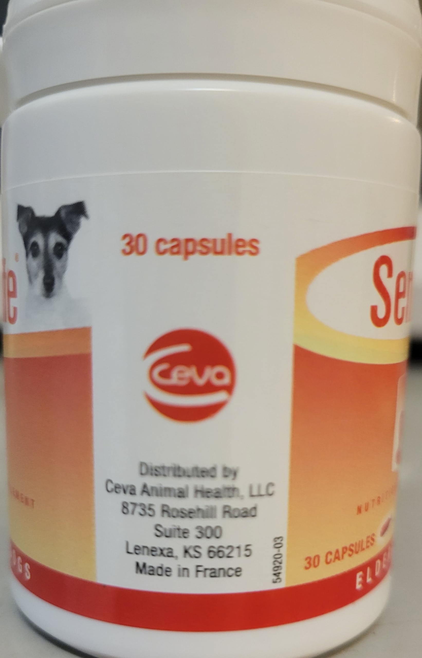 Ceva Senilife benefits graphic communicates potential behavior support for aging dogs.