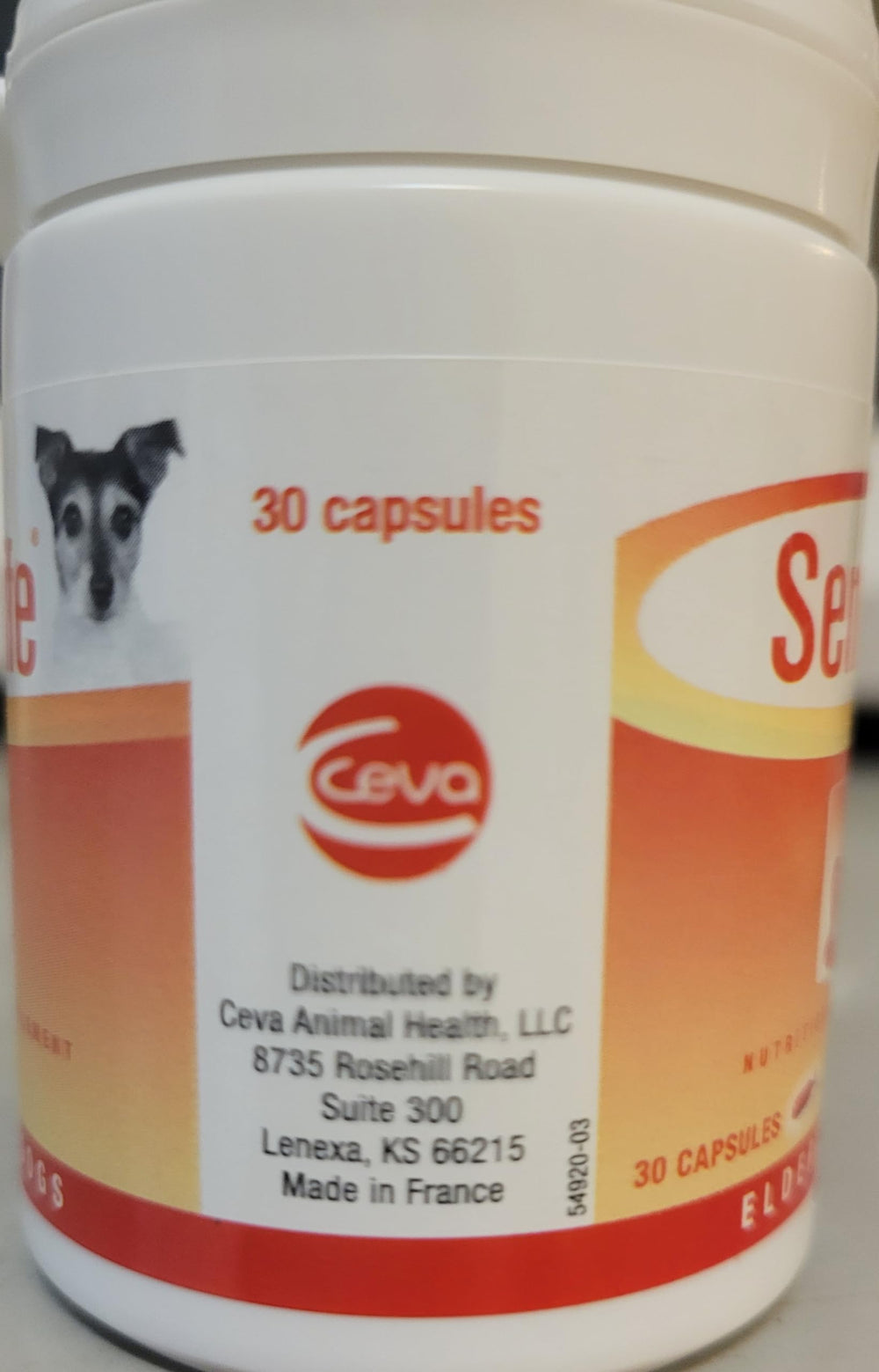 Ceva Senilife benefits graphic communicates potential behavior support for aging dogs.