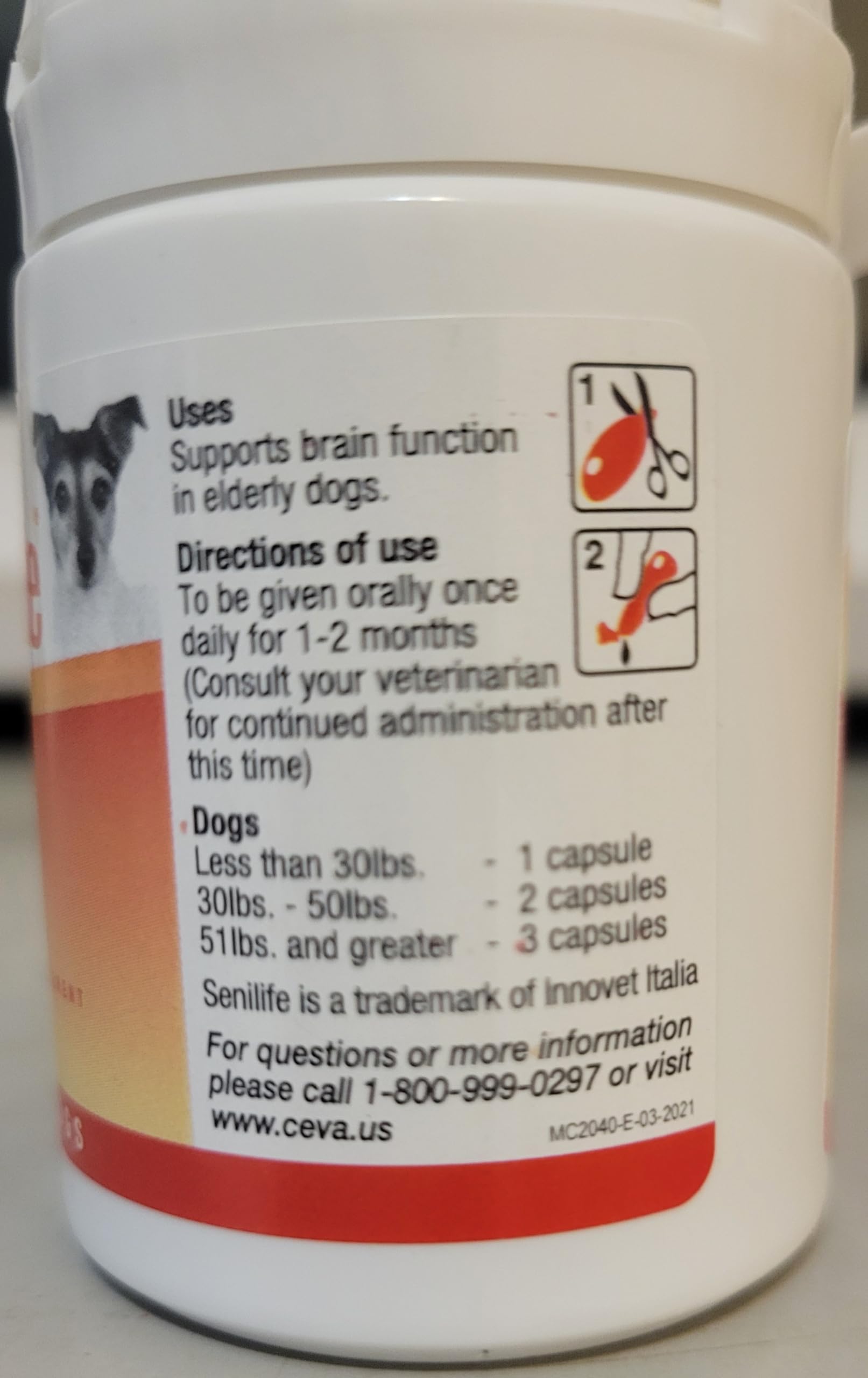 Ceva Senilife senior dog relaxed on bed suggests improved quality of life.