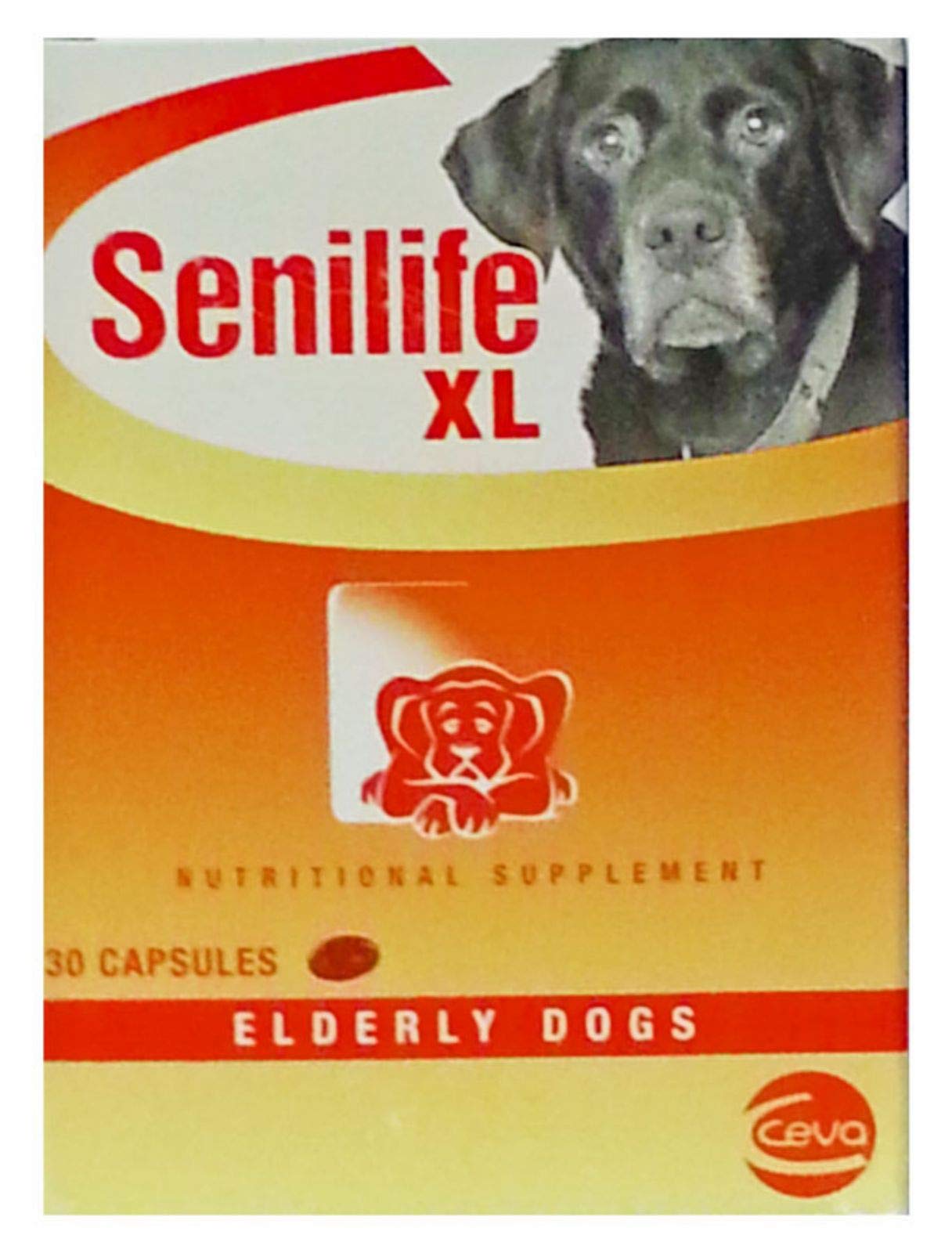 Ceva Senilife XL capsules bottle—supports aging dog brain health and daily activity.