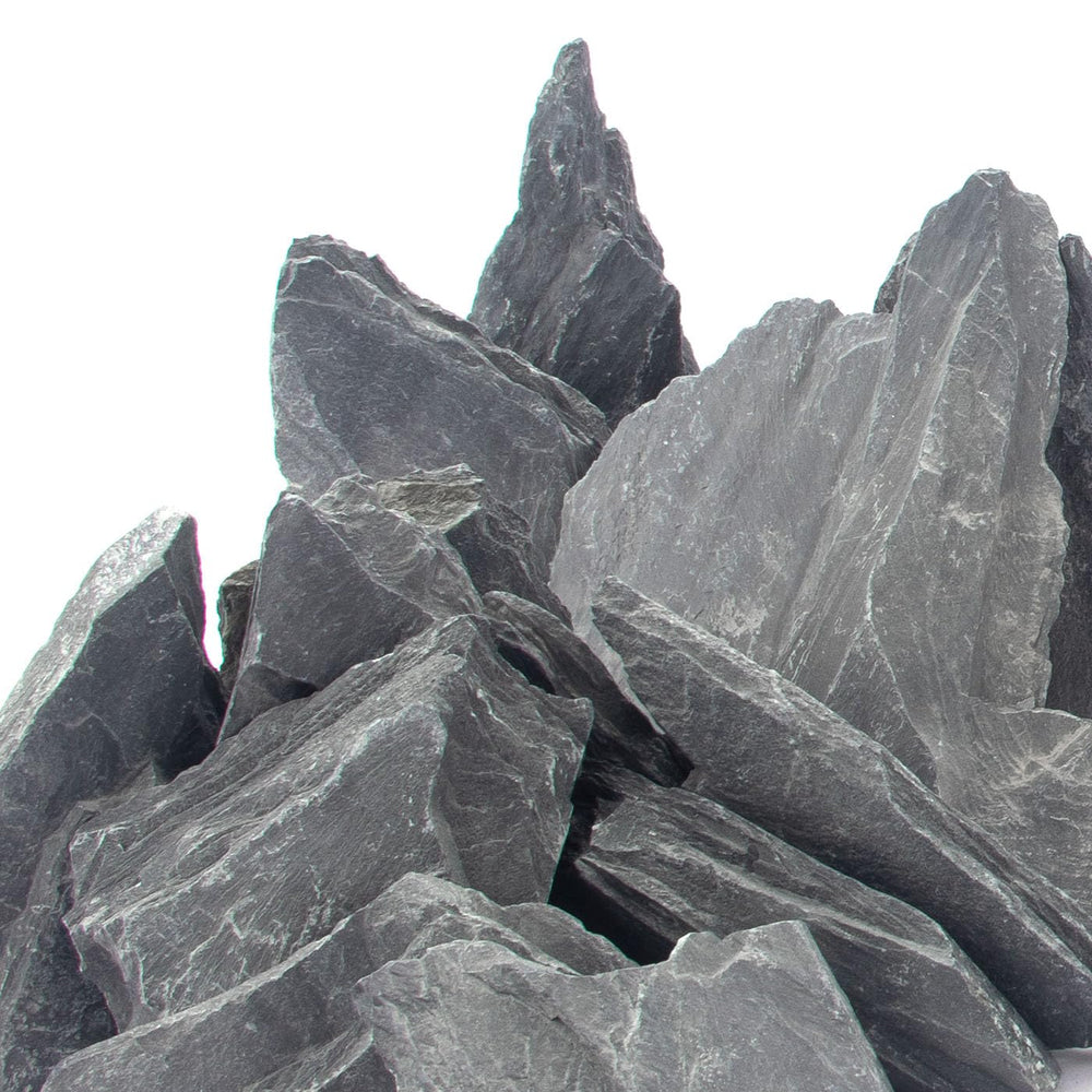 CFKJ slate rock 5-7 inch detail for terrarium decor and plant friendly surfaces