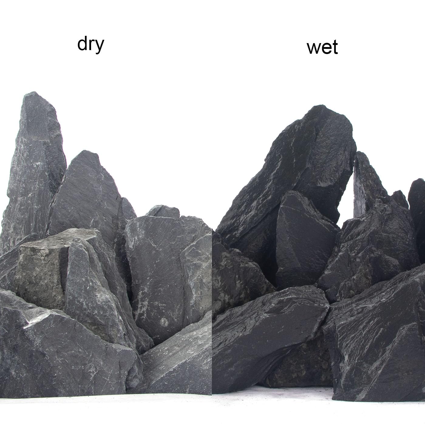 CFKJ 18-pound slate stone showcased in amphibian enclosure for natural hiding spots