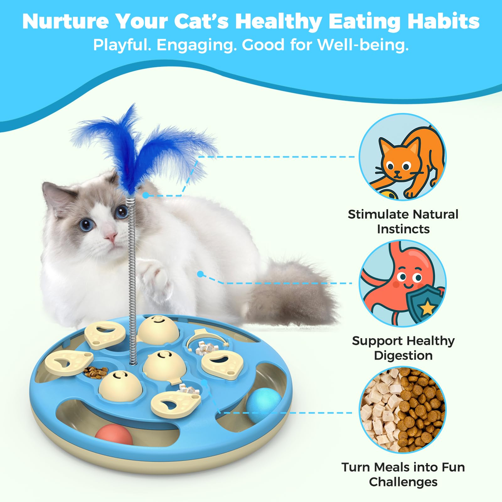 CGBD Cat Puzzle features drainage holes for easy cleanup after play.