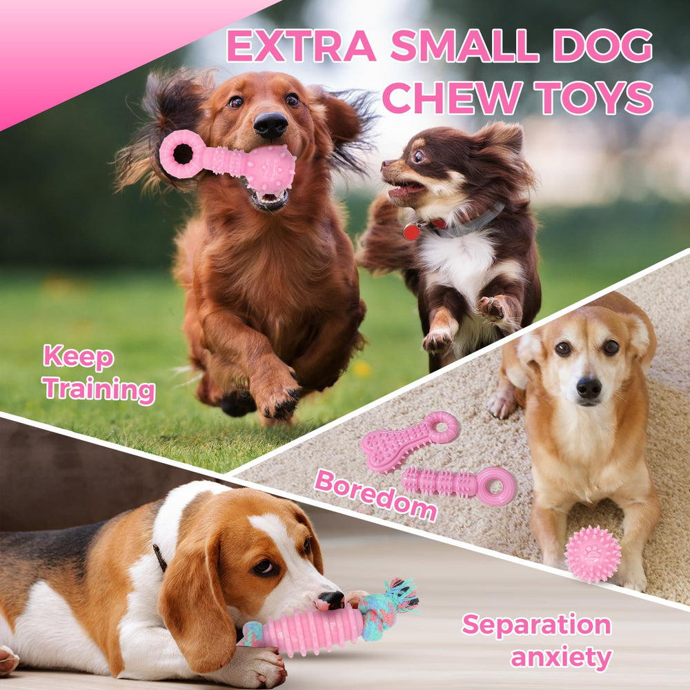 Idea de regalo para perros: juguete CGBD rosado para cachorros