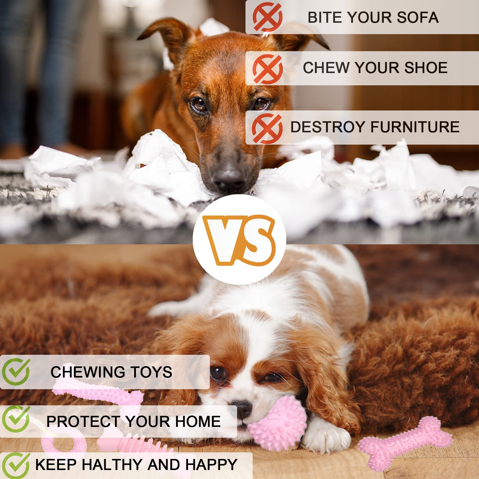 CGBD toys enhance bonding and simple training during playtime.