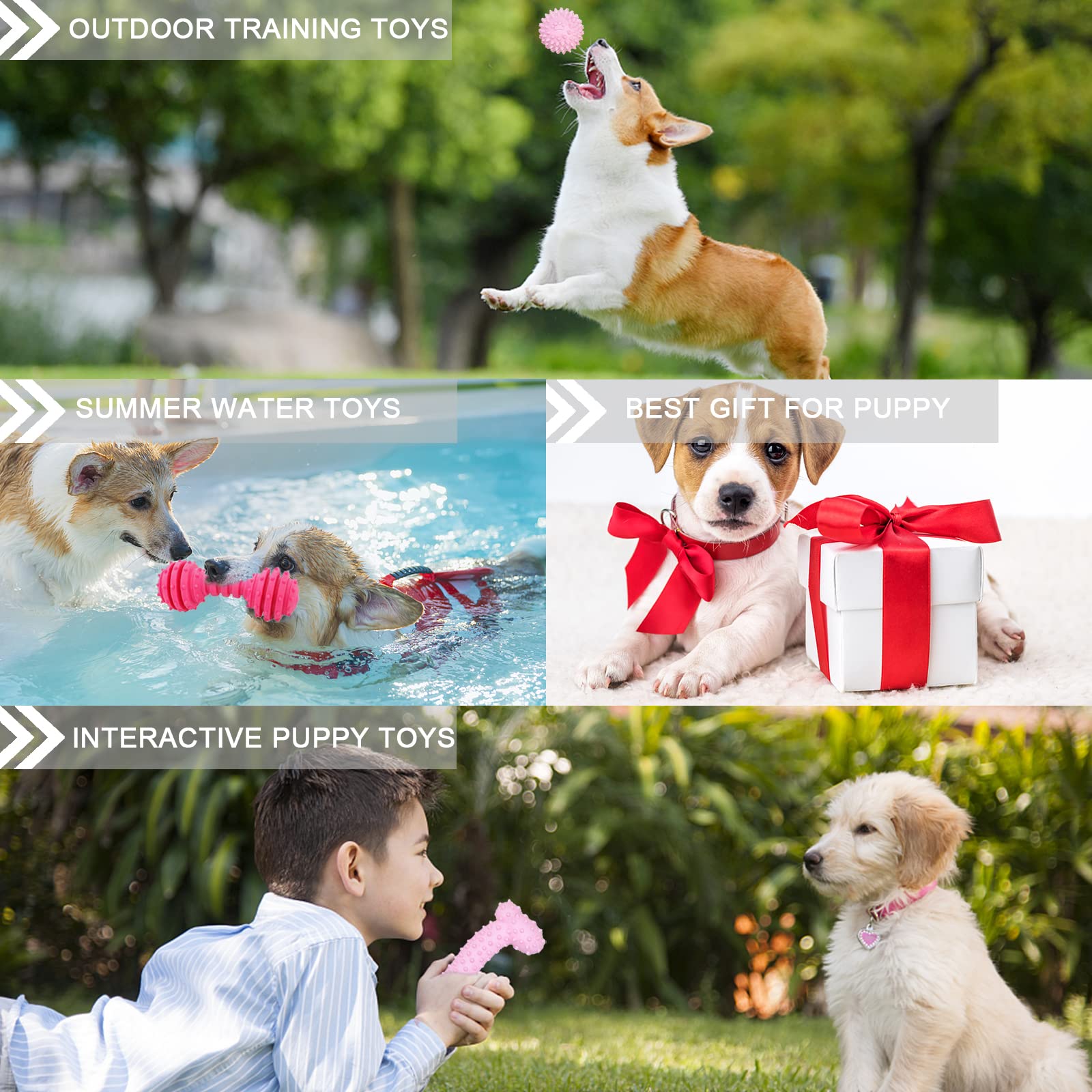 CGBD puppy toys relieve boredom with varied shapes and textures.