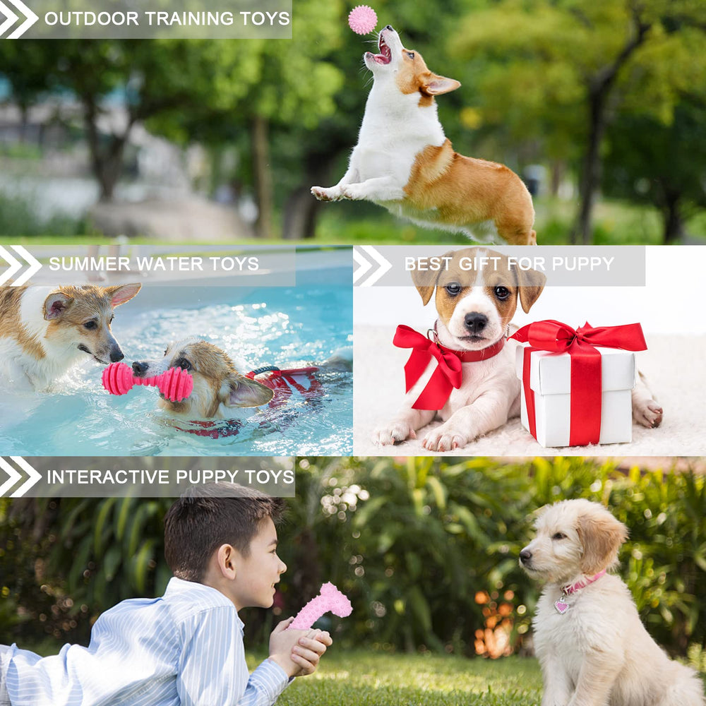 CGBD puppy toys relieve boredom with varied shapes and textures.