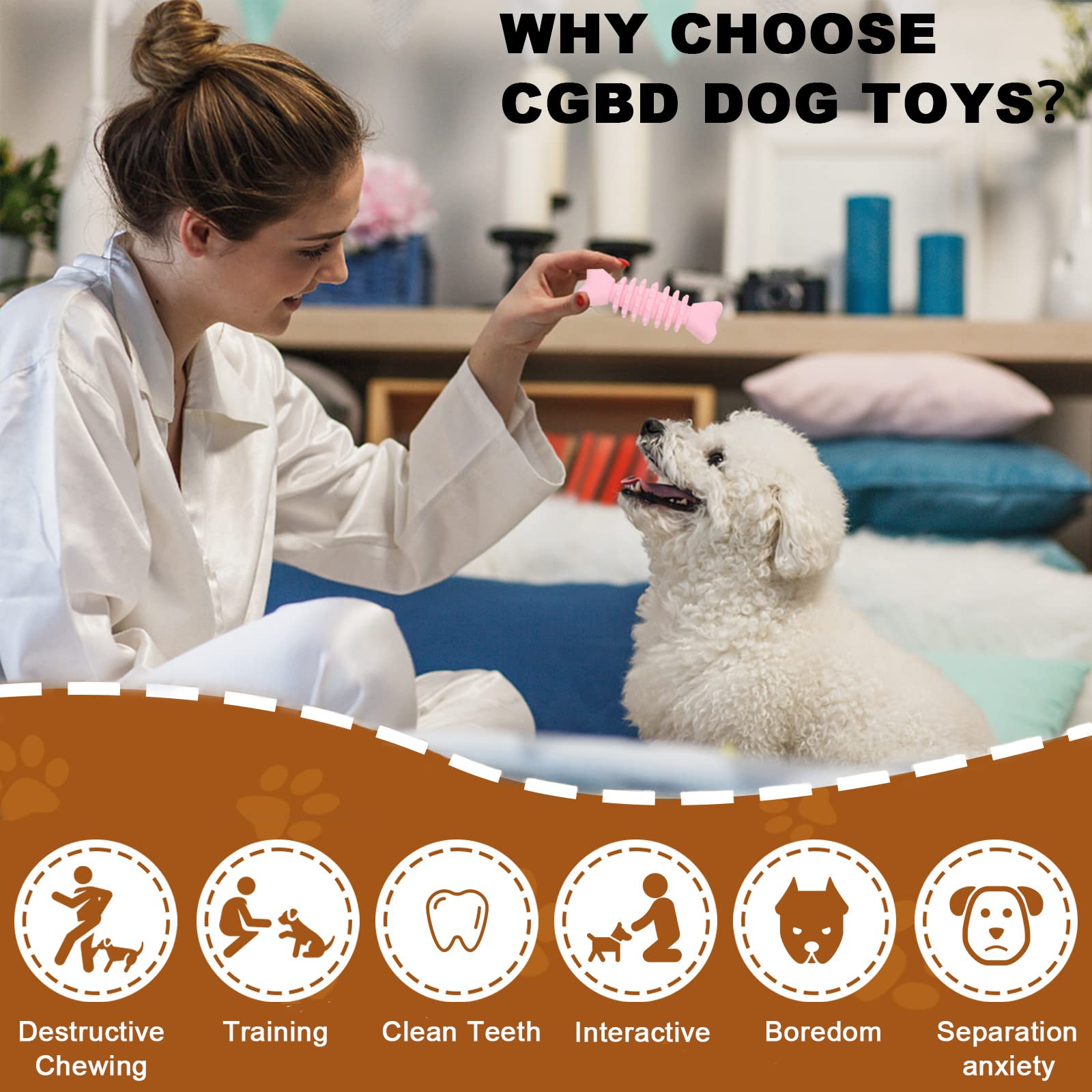CGBD puppy toys six-pack shapes variety promotes curiosity and mental engagement.