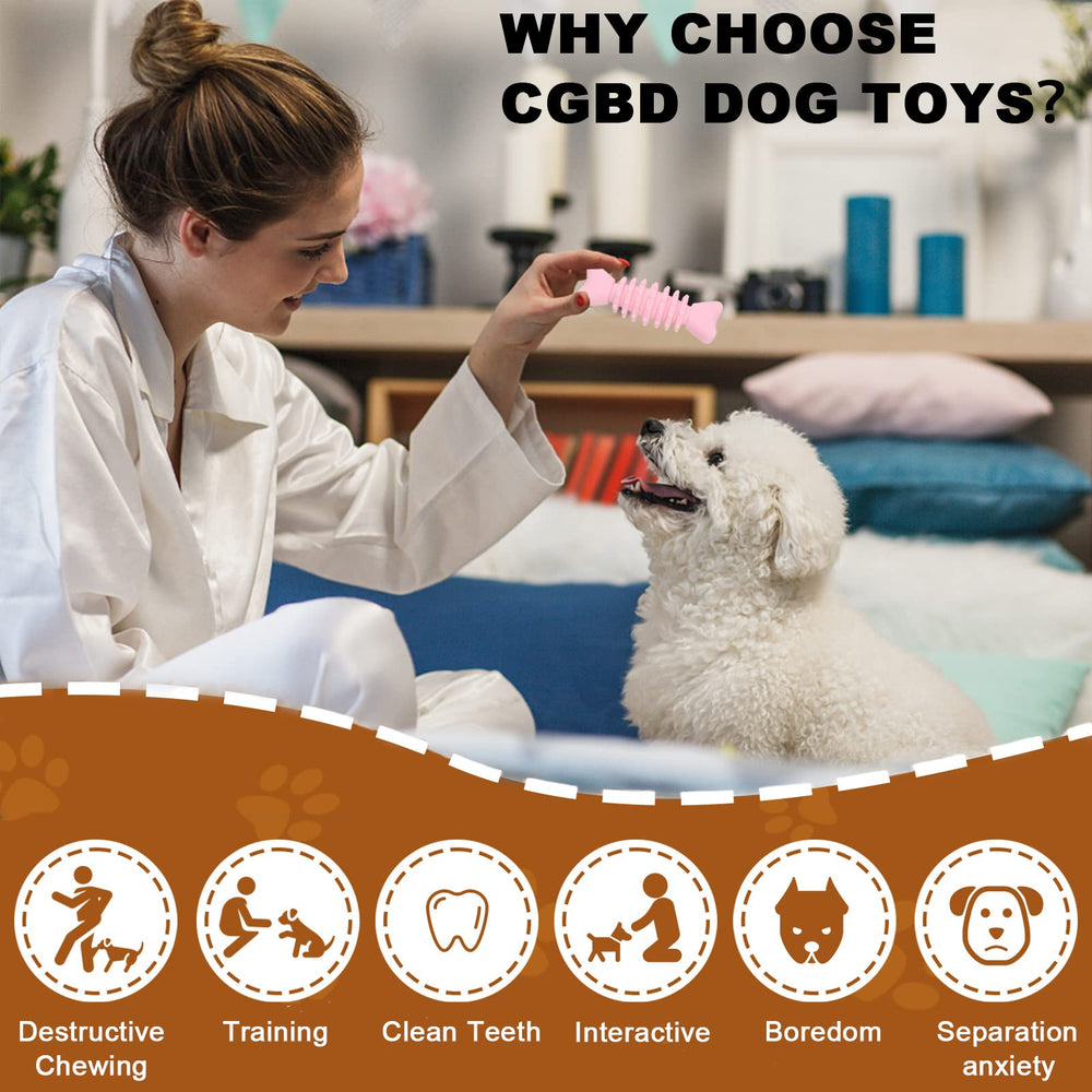 CGBD puppy toys six-pack shapes variety promotes curiosity and mental engagement.