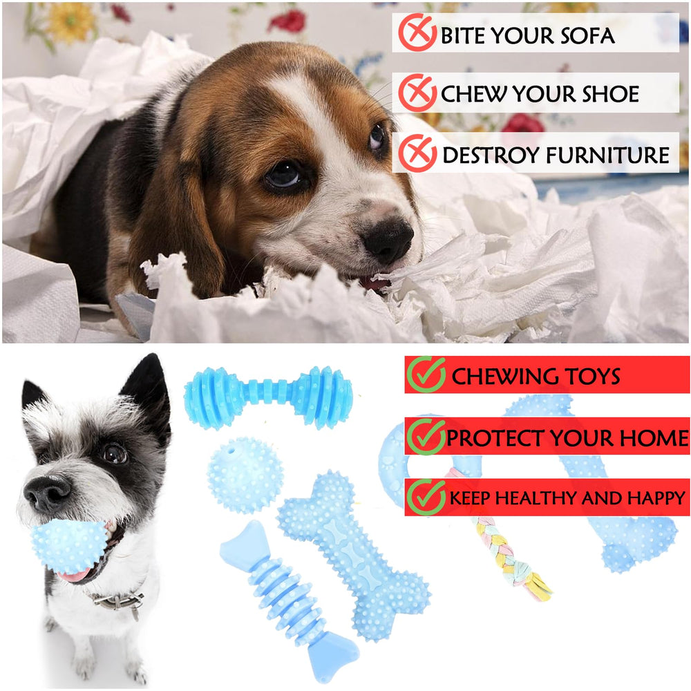 CGBD puppy toys suitable as gifts for puppies or small dogs