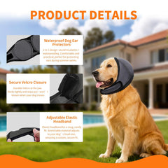 CGPVTSJ No Flap Ear Wraps fitted on a large dog showing adjustable Velcro for secure wear