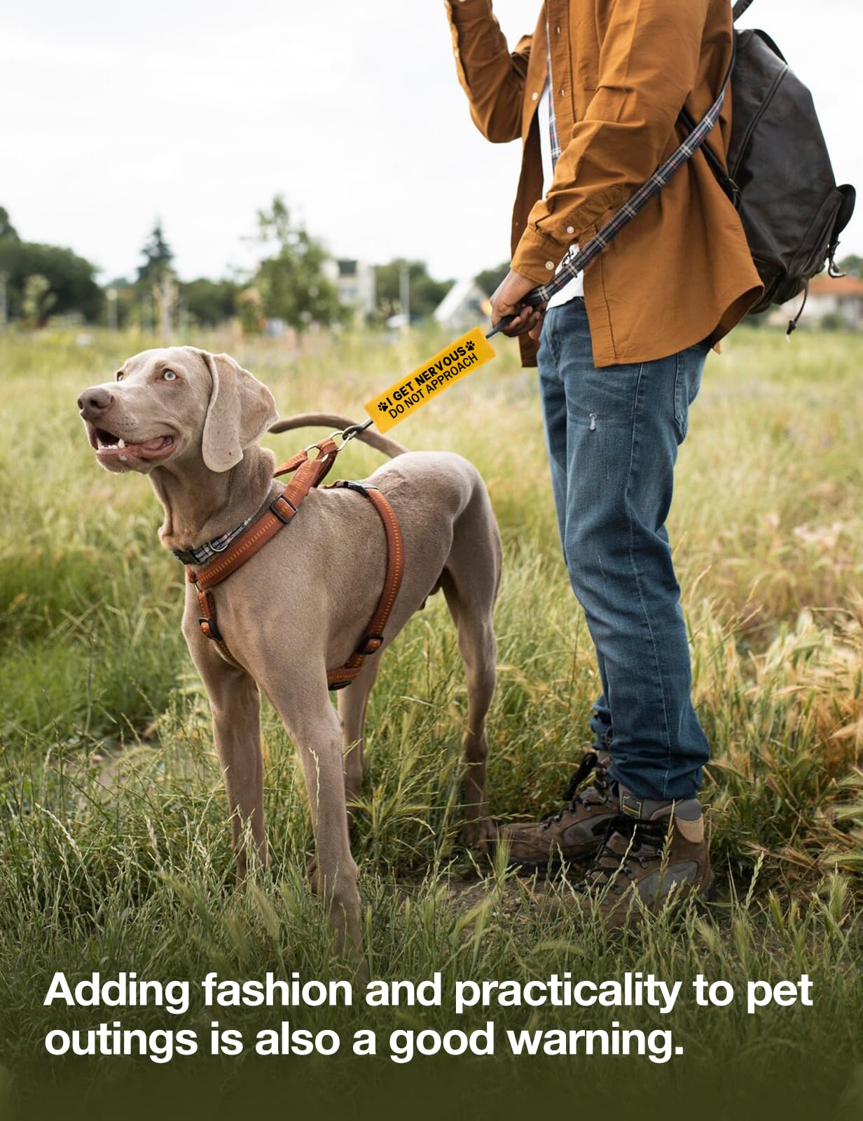 Cgvovgr leash sleeve color and design enhance on-walk visibility.