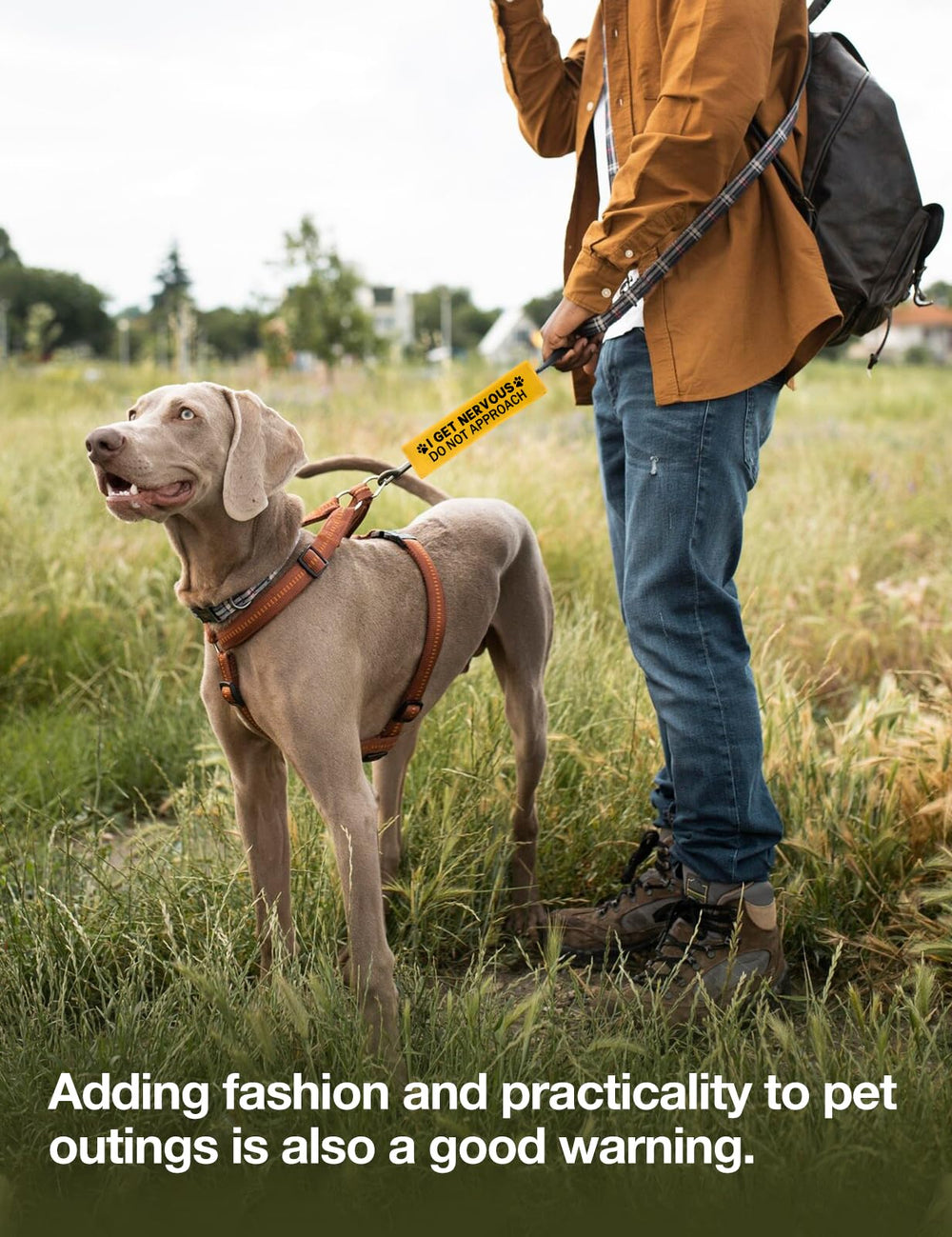 Cgvovgr leash sleeve color and design enhance on-walk visibility.