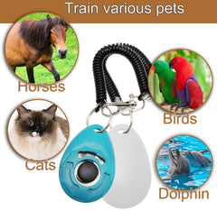Chadou training clicker durable metal construction for long-lasting use
