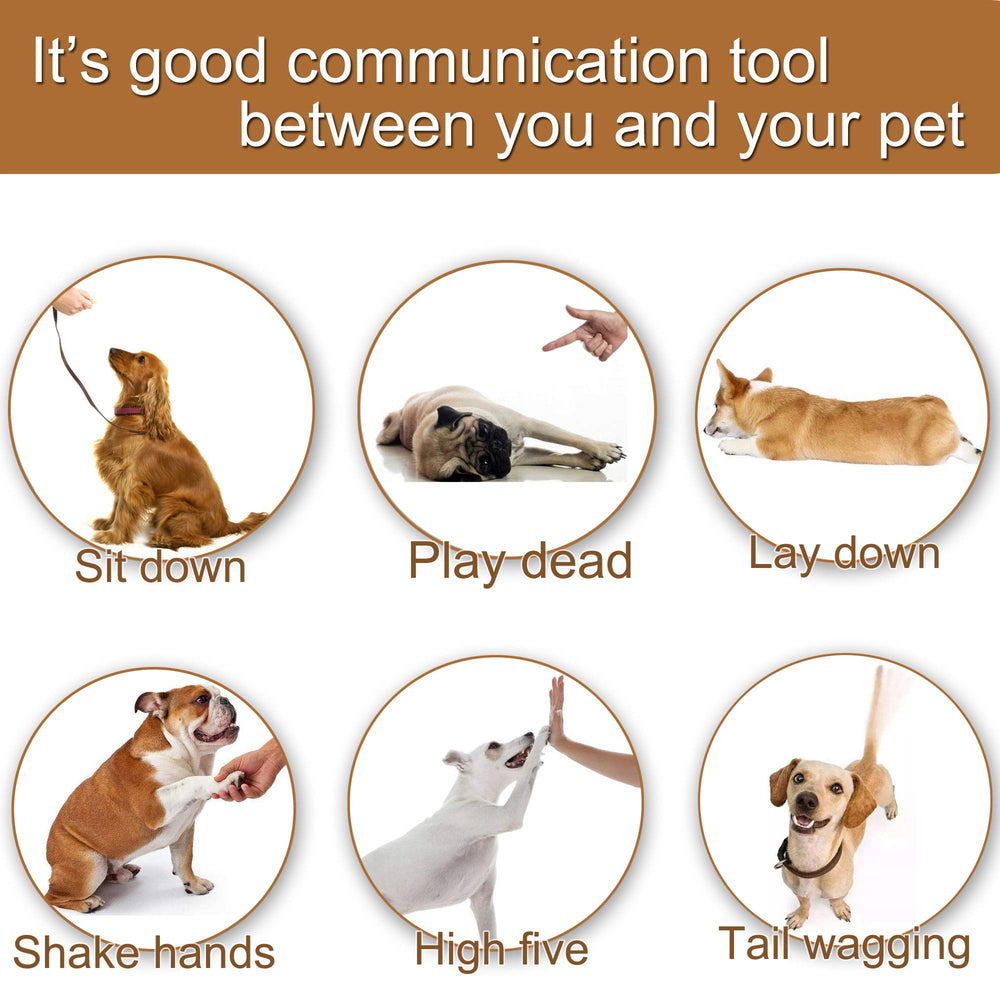 Chadou training clicker use case includes rewards and consistent signaling