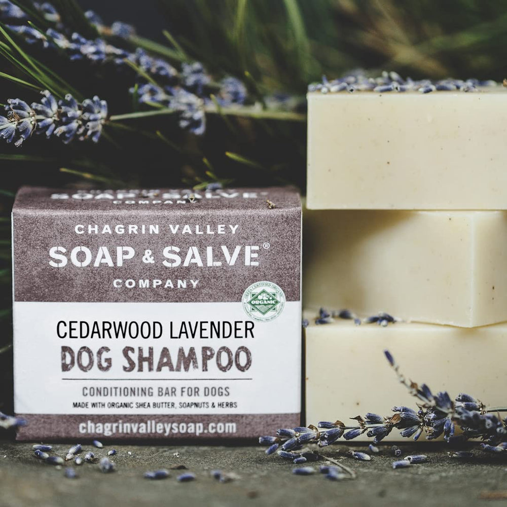 Chagrin Valley Soap & Salve puppy-focused shampoo bar gentle on young dogs.