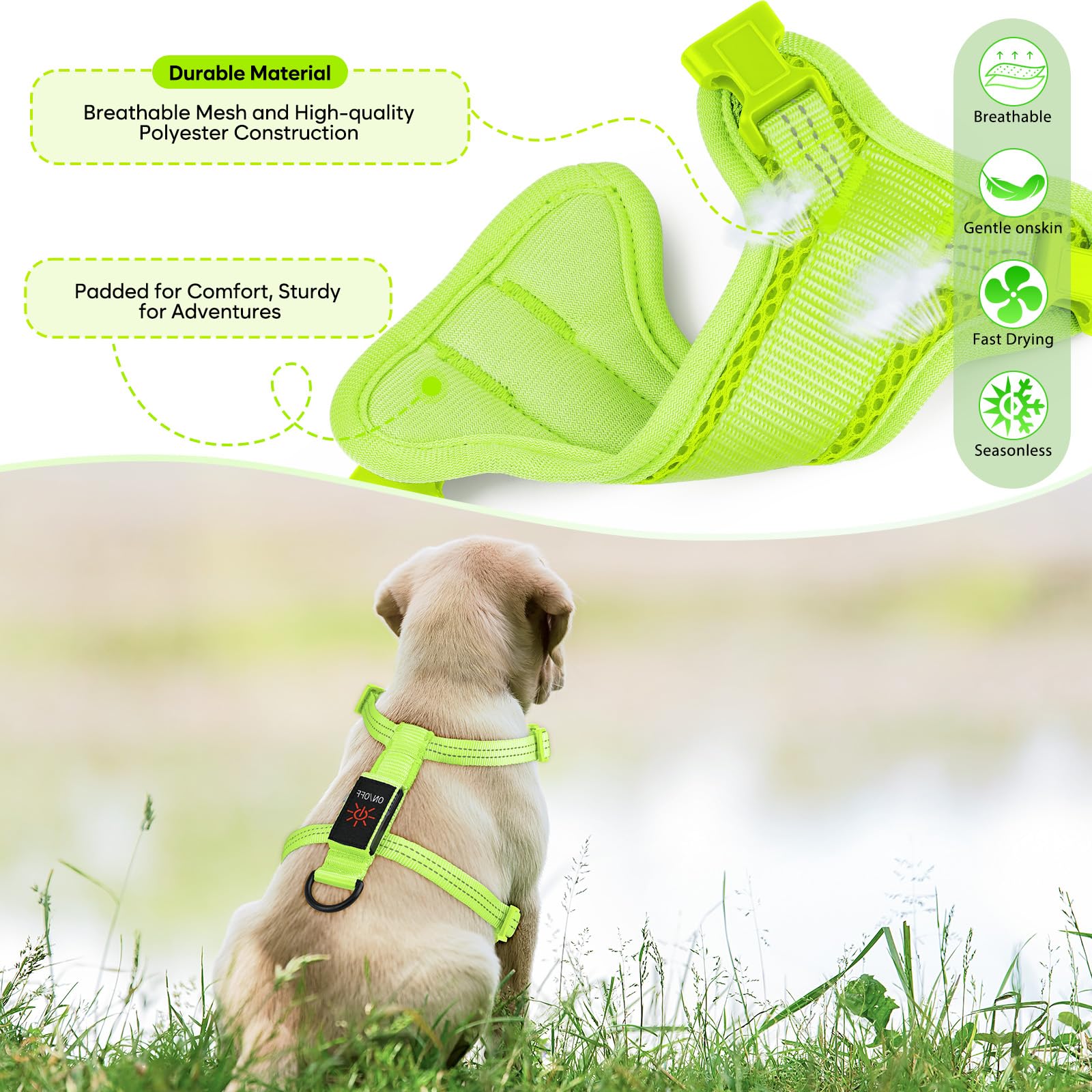 ChalkLit adjustable four-strap harness for precise, snug fit.