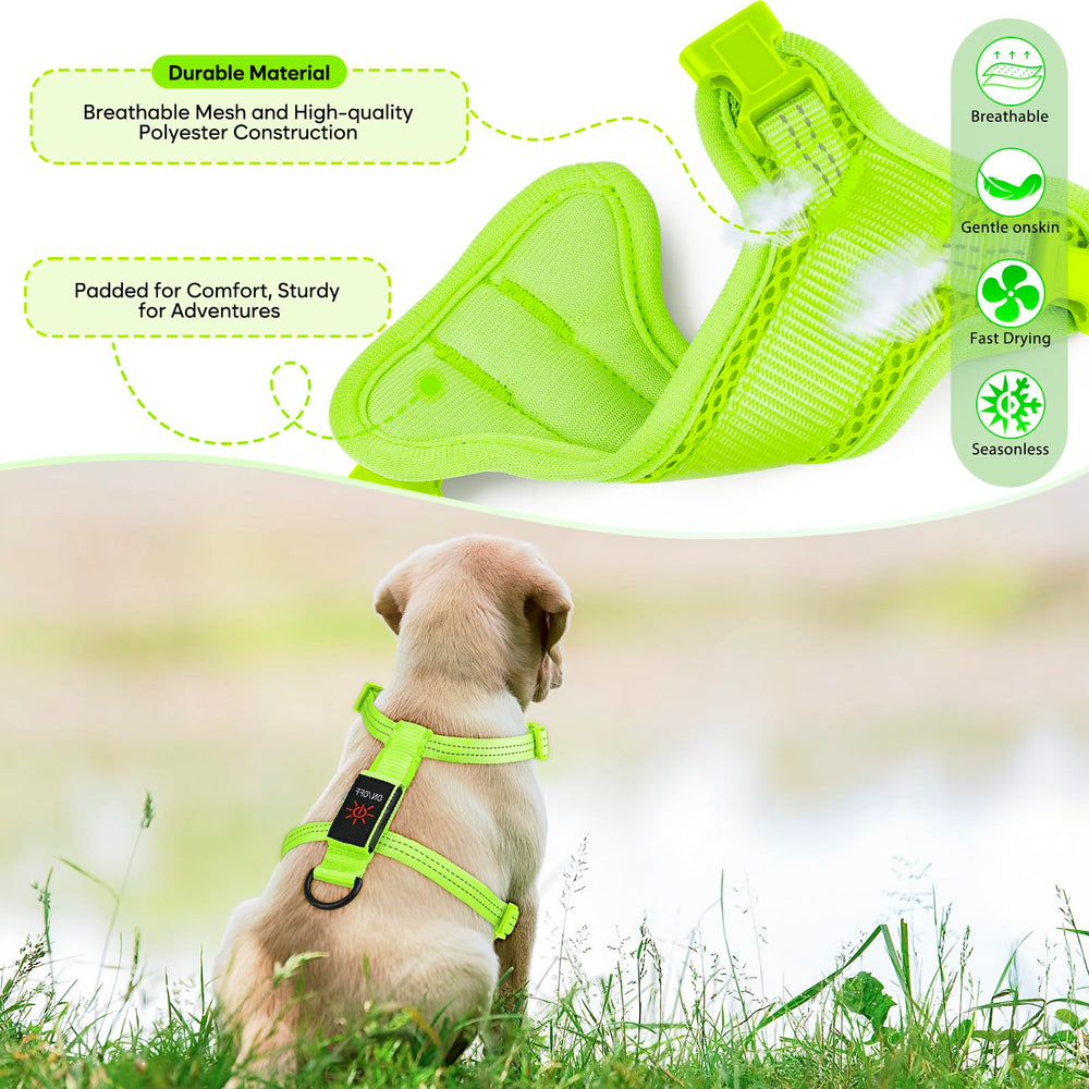 ChalkLit adjustable four-strap harness for precise, snug fit.