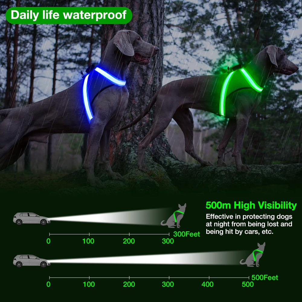 ChalkLit breathable mesh vest keeps dogs comfy