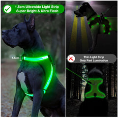 ChalkLit green LED dog harness back view enhances visibility during evening strolls.