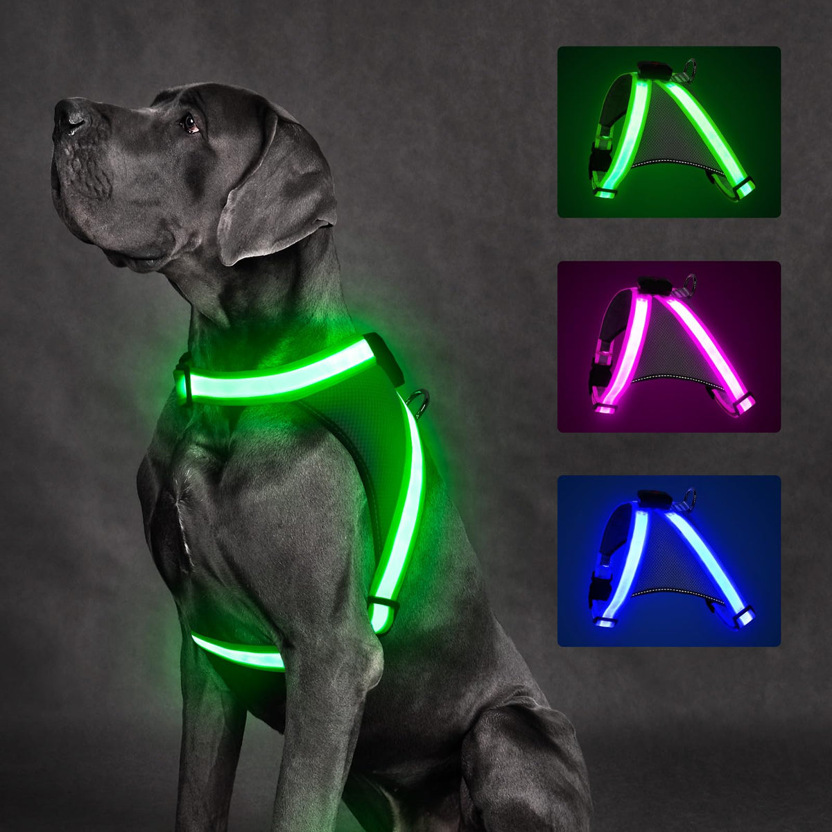 ChalkLit green LED dog harness front view improves night visibility for safer walks.