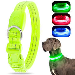 ChalkLit LED collar green glow side view improves night safety for walks.