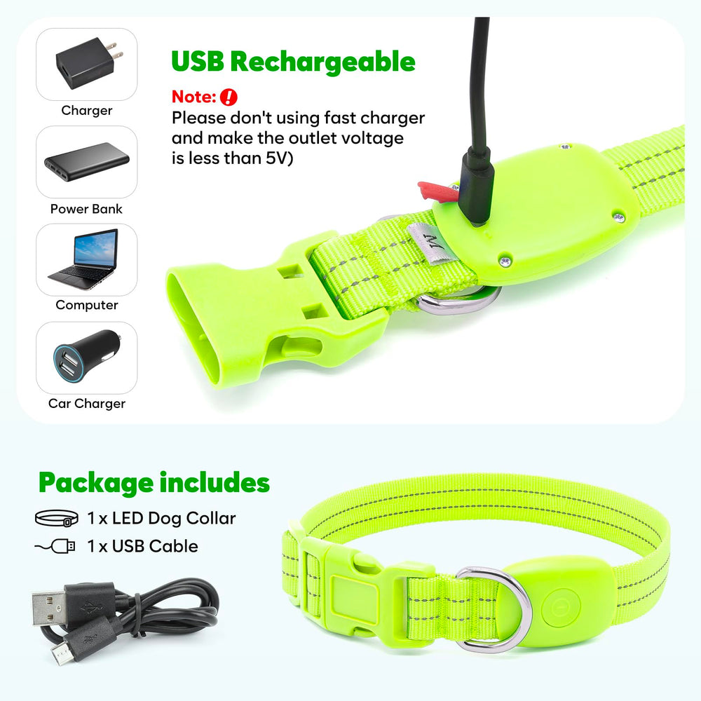 ChalkLit LED collar reflective strips visible under streetlights boosts visibility.