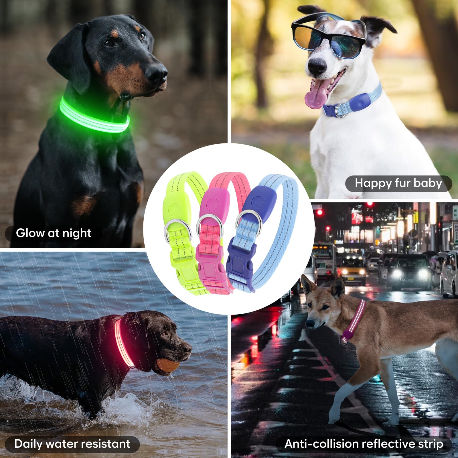 ChalkLit LED collar waterproof build shown for all-weather durability.