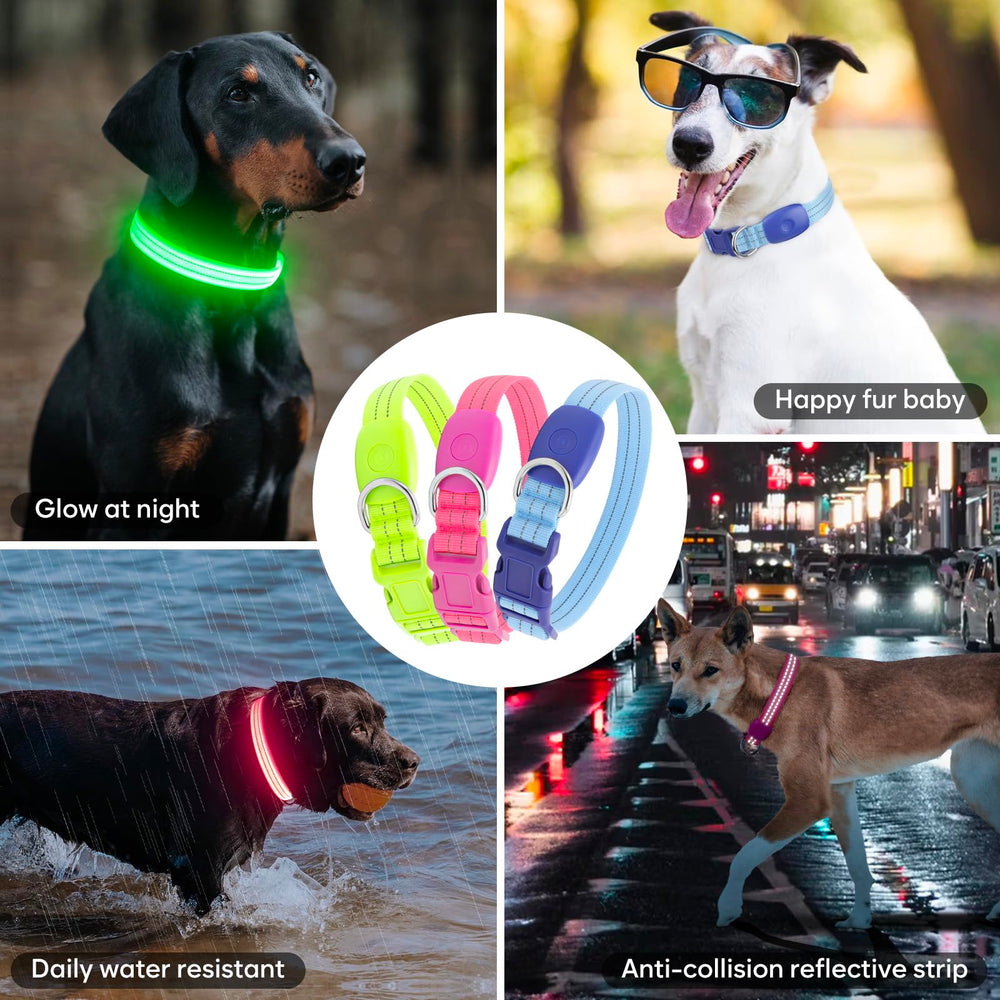 ChalkLit LED collar waterproof build shown for all-weather durability.