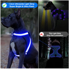 ChalkLit LED dog harness boosts night-walking visibility for drivers.