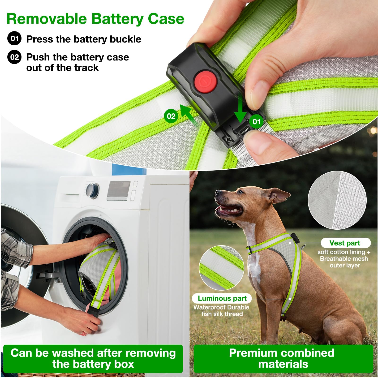 ChalkLit no-pull D-buckle harness demonstrates controlled walking with secure leash attachment.