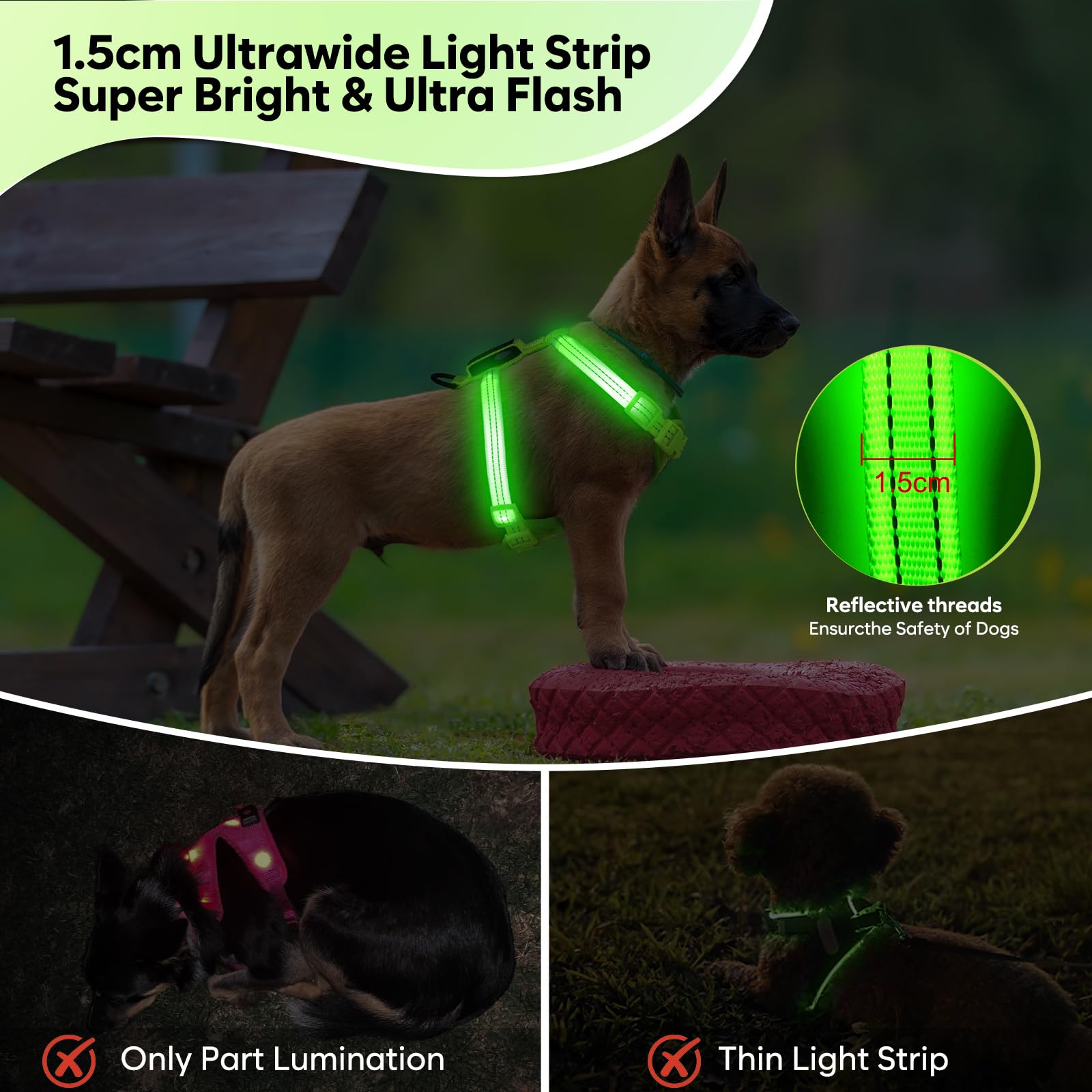 ChalkLit LED harness for small breeds with soft mesh for comfortable fit.