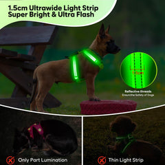 ChalkLit LED harness for small breeds with soft mesh for comfortable fit.