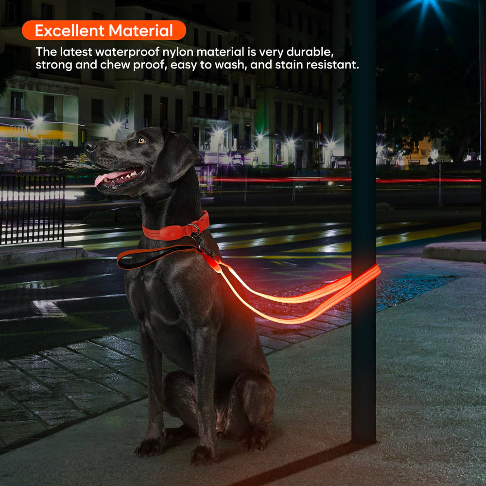 ChalkLit LED dog leash with 360 swivel clasp prevents tangles.