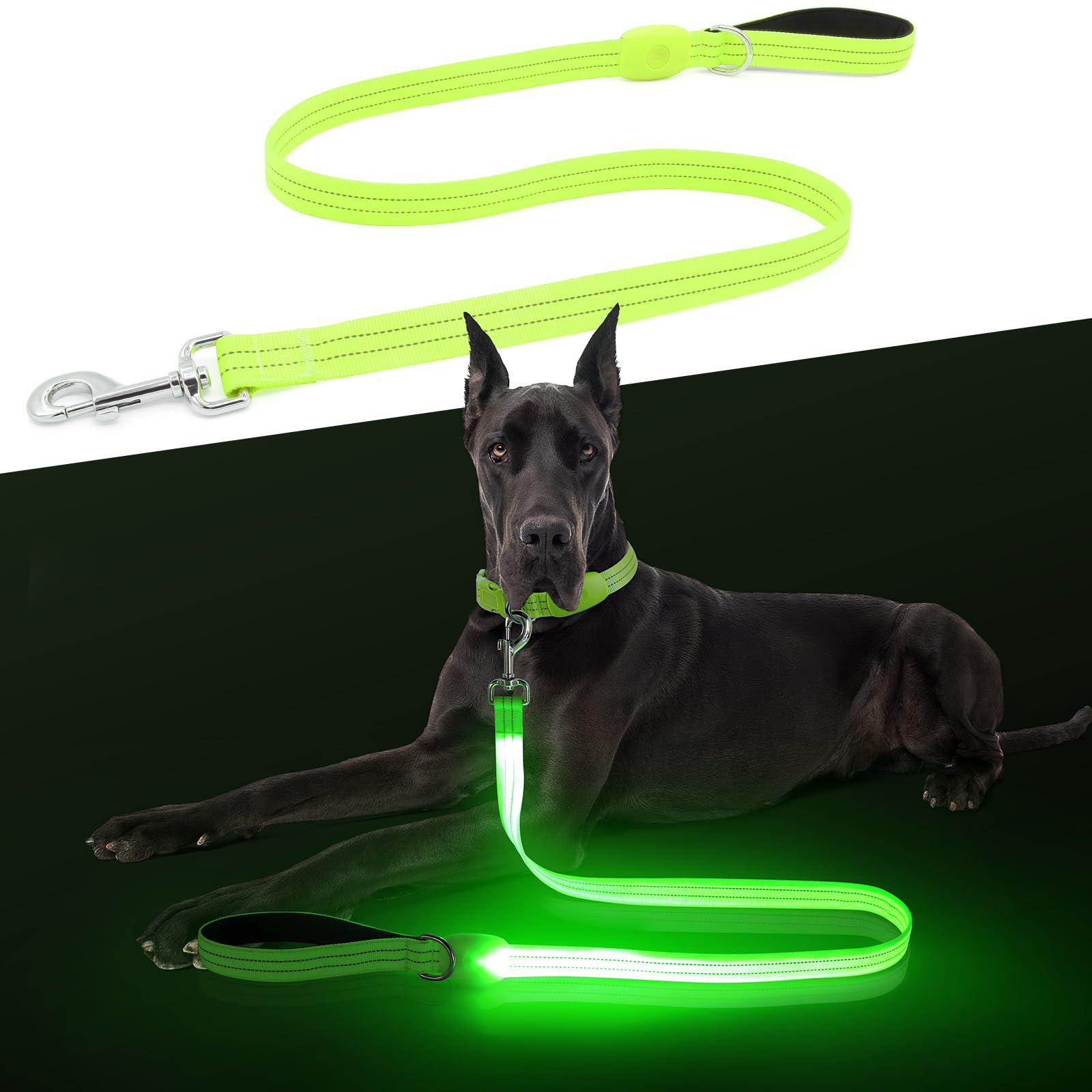 ChalkLit LED dog leash night-visibility showcases bright safety for evening walks